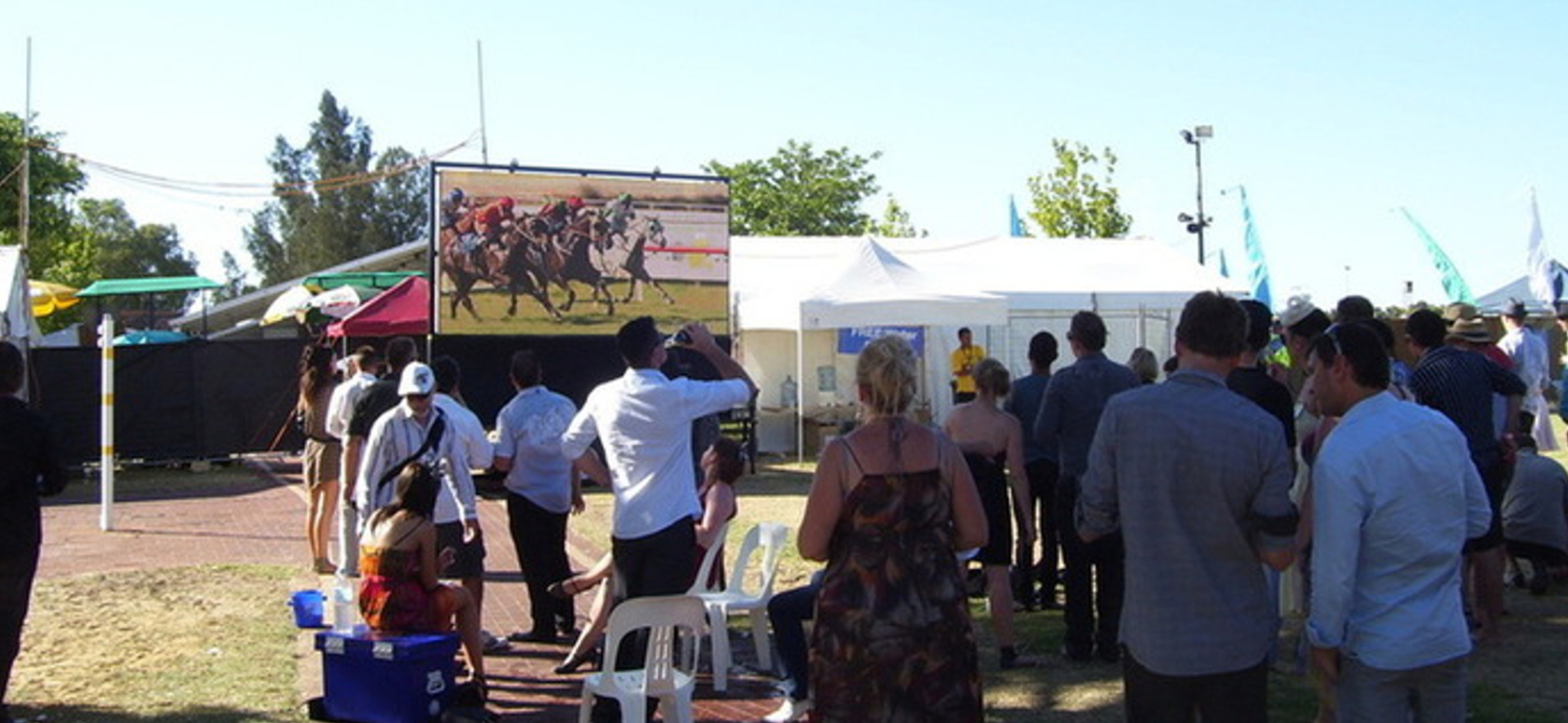 The Horses Race on the Mega Screen